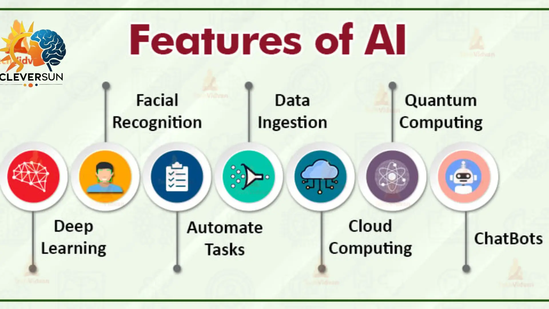 Software and AI Features